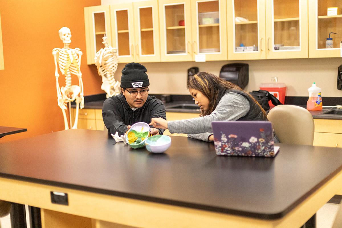 Students go over anatomy  models during class lab in human anatomy class.